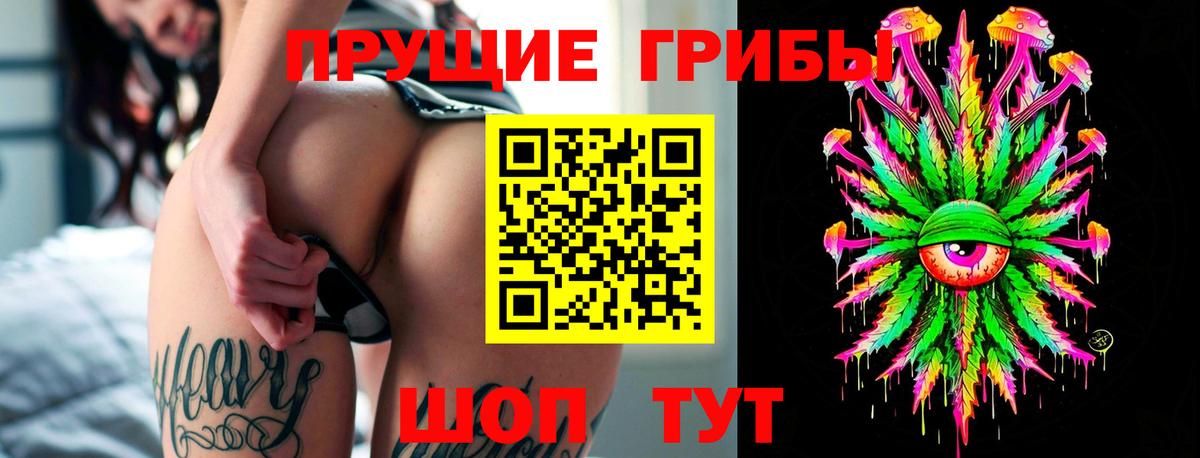 Семилуки  Псилоцибиновые грибы Psilocybine cubensis  Вход с VPN 